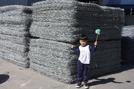 Aanpassing gegalvaniseerd legering Gabion Basket hoge corrosiebestendigheid