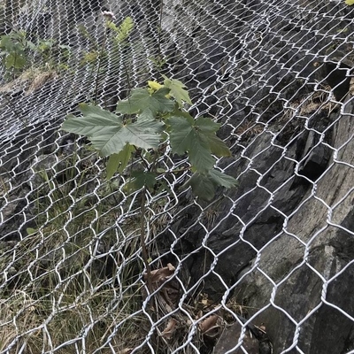 Geallieerde galfan gegalvaniseerde gabion manden met PVC bedekte RAL-standaard