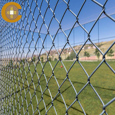 Roestvast Plastic Coated Iron Chain Link hek Maas Customization