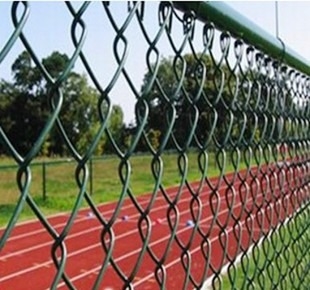 Gegalvaniseerde ijzeren draadketen met PVC-coating voor tuinheining