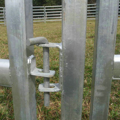 Gelast gegalvaniseerd gaas hek vee vee schapen varkens hek in rollen 300x48